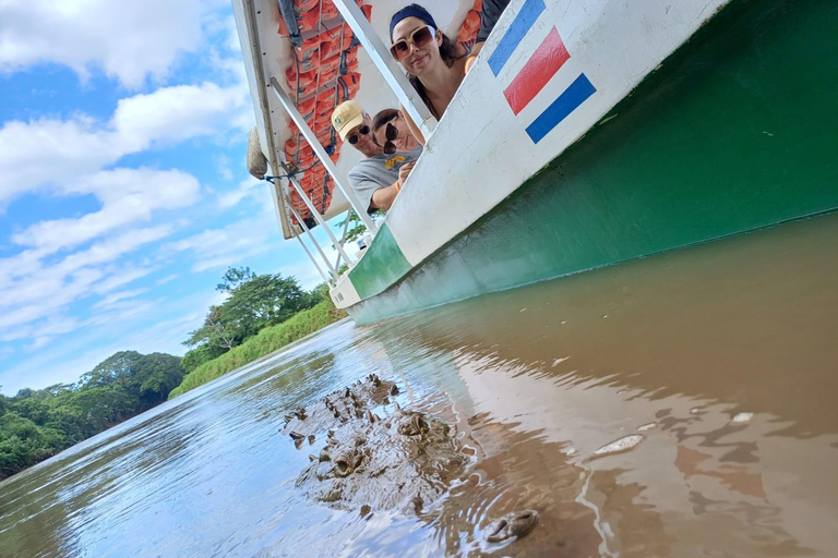 RÍO TARCOLES: SAFARI DE COCODRILOS EN LA SELVA Y OBSERVACIÓN DE AVES