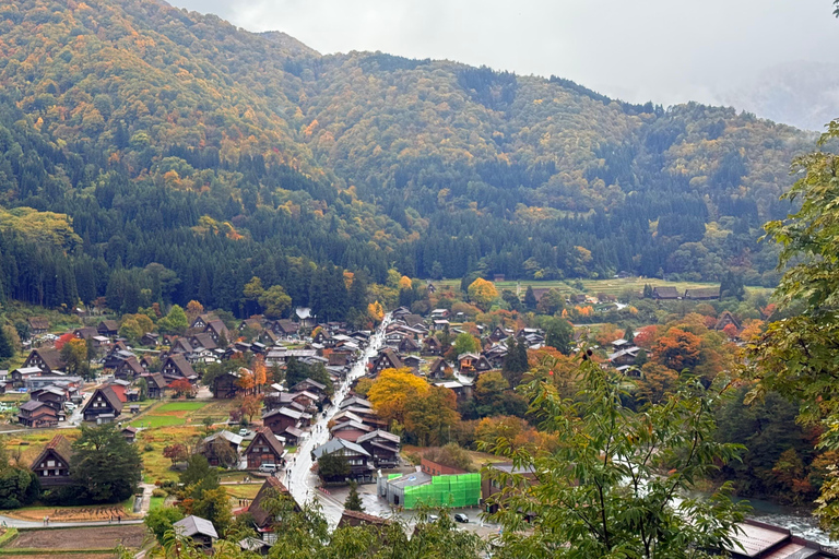 1 Day Customize Private Charter Tour Shirakawago & Kanazawa