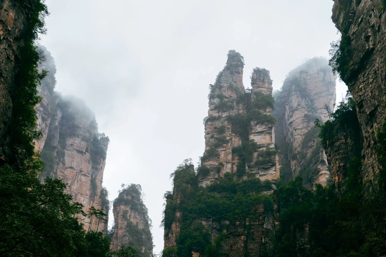 Zhangjiajie 2-Day Tour with Sunrise & Hidden Trails Zhangjiajie 2-Day Tour with Sunrise & Hidden Trails