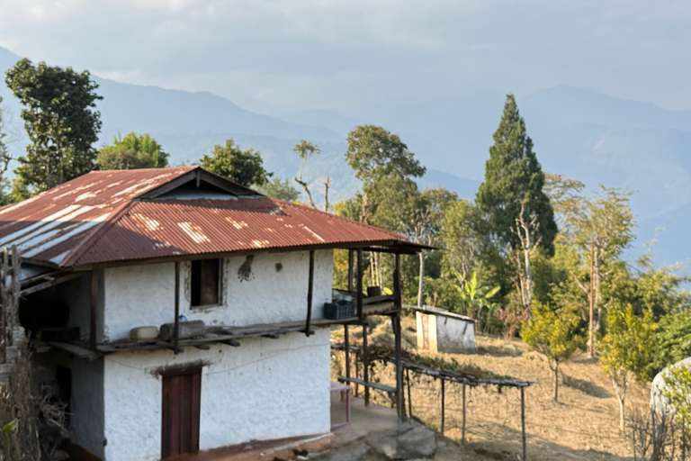 Bhutan: 6-Day Festival Tour with Meals and Guide