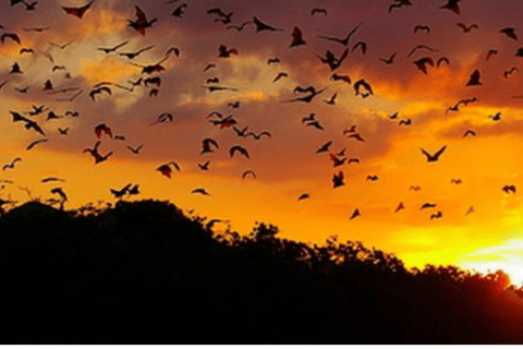 Labuan Bajo Sunset Trip – Explore 3 Destinations