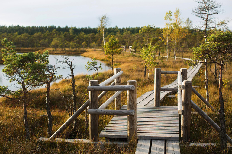 From Riga: Kemeri bog and Kuldiga widest waterfall in Europe
