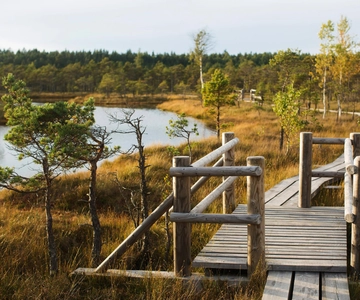 From Riga: Kemeri National Park and Kuldiga Tour