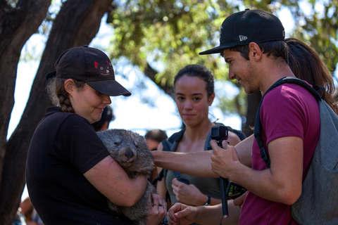 Escursione a terra a Hobart: Parco nazionale di Mt Field e fauna selvatica