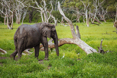 3-Days Mikumi National Park by electric Train