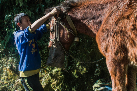 Pokhara: Poon Hill Culture Trek & Village Homestays (4-Day)