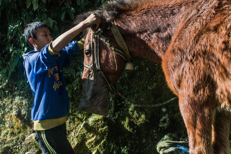Pokhara: Poon Hill Culture Trek & Village Homestays (4-Day)