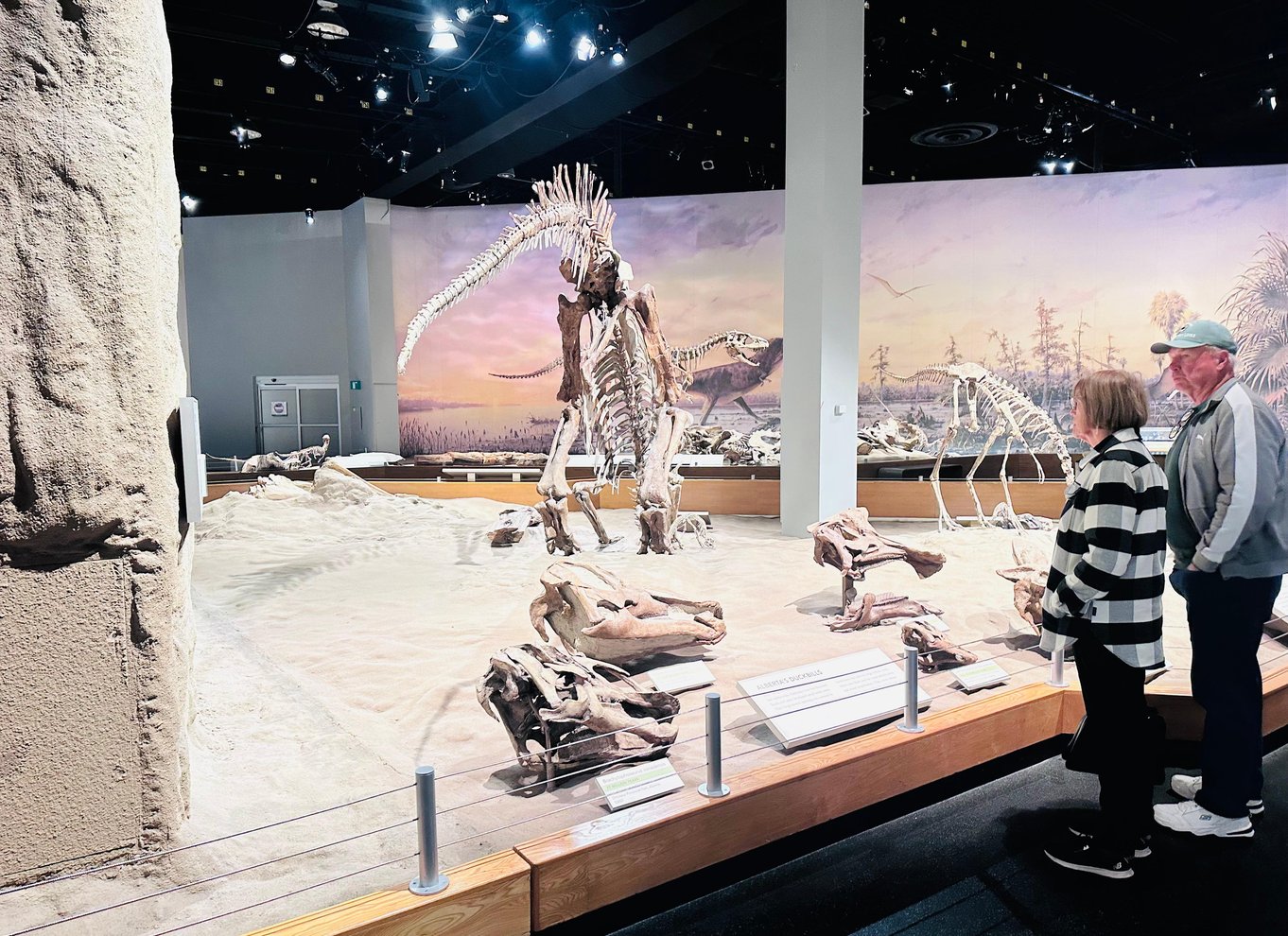 Badlands-tur: Drumheller med museum, hoodoos og dinosaurer
