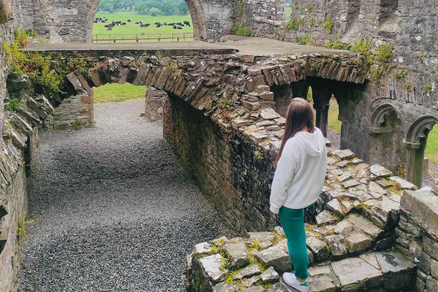 День в Ирландии: Холм Тара и замок Трим