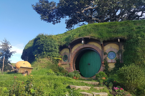 Auckland: Tour di 3 giorni di Hobbiton, Rotorua, Waiotapu e Waitomo