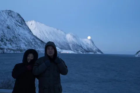 Senja: Full-Day Guided Tour with Husøy and Ersfjord