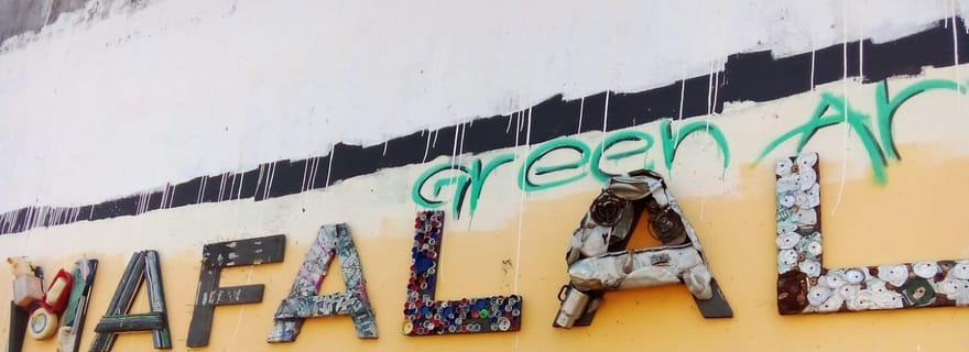 Visite à pied de Mafalala