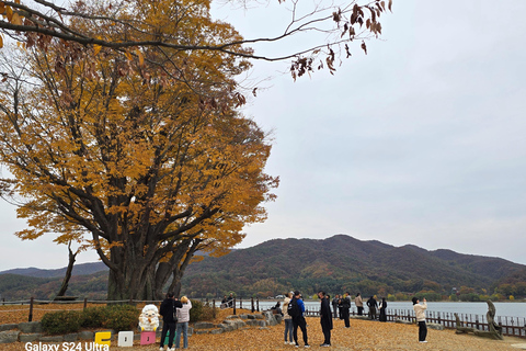 Seoul:Yangpyeong Day Trip with Dumulmeori & Yongmunsa Temple