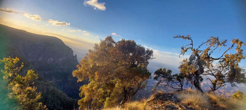 From Gondar: 6-Day Simien Mountains Trekking Tour ras dejen | GetYourGuide