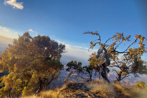 Von Gondar aus: 6-tägige Simien Mountains Trekking Tour ras dejen