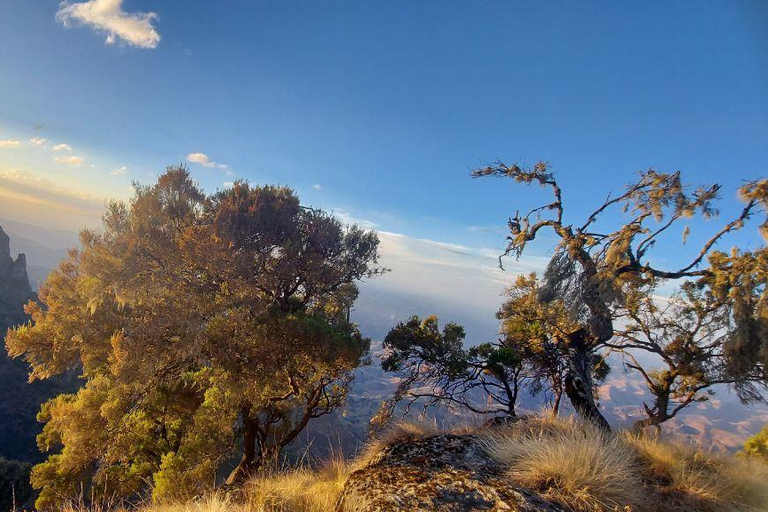 Von Gondar aus: 6-tägige Simien Mountains Trekking Tour ras dejen