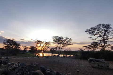 Vanuit Nairobi: 4-daagse safari naar Amboseli Tsavo West &amp; East