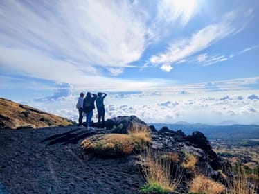 Etna Park Private Tour with Wine Tasting experience