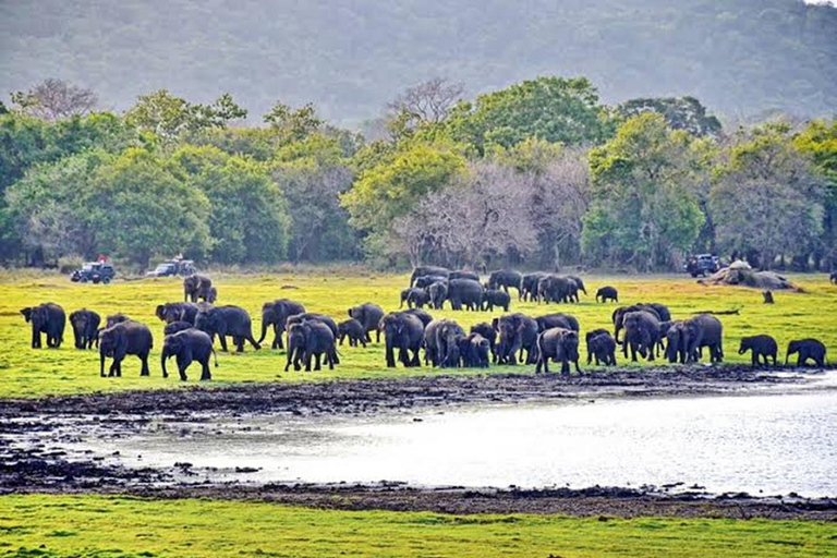 From Trincomalee: Sigiriya Guided Heritage & Wildlife Tour