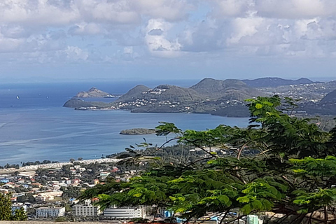 Soufriere Experience: Mudbath,Waterfall,Pitons,Marigot Bay.