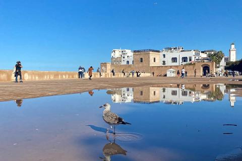 De Marrakech: viagem de um dia a Essaouira com embarque no hotel