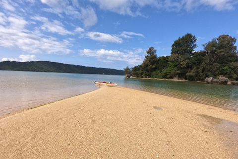 Okinawa: Private Full Circle Island Kayak Tour in English