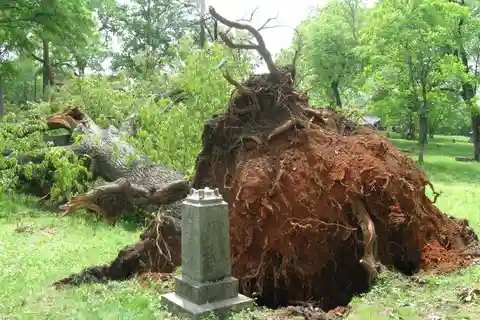 Chattanooga: Caccia ai fantasmi nel cimitero solo per maggiori di 18 anni con rilevatore EMF