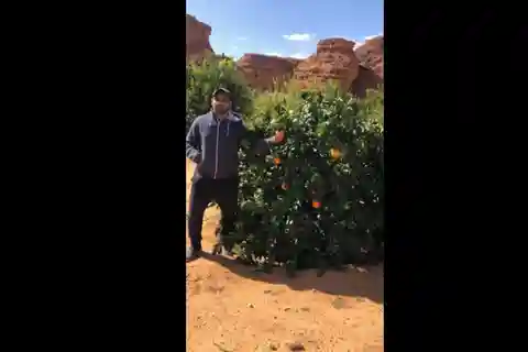 Depuis Djeddah ou La Mecque : Excursion privée de 2 jours à AlUla avec ferme ...