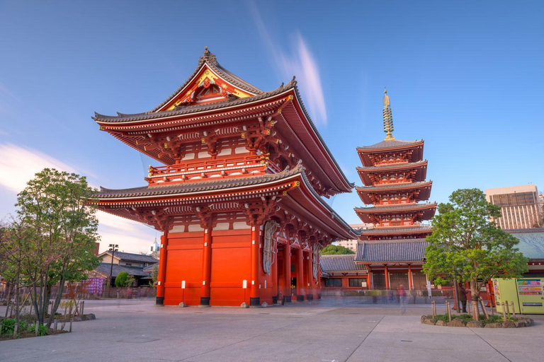 Tokyo: Discover The City Your Way Half-Day Private Sightseeing Ride in Tokyo