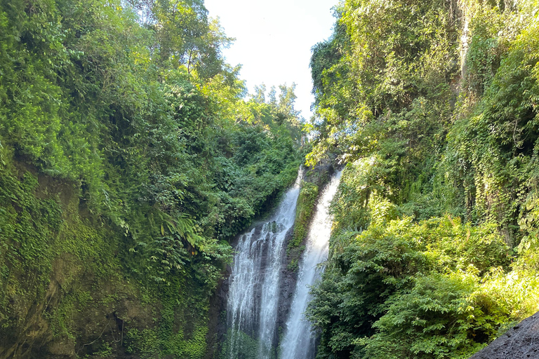 Desde el Norte de Bali Excursión a la Cascada de Aling Aling y la Laguna AzulTour privado
