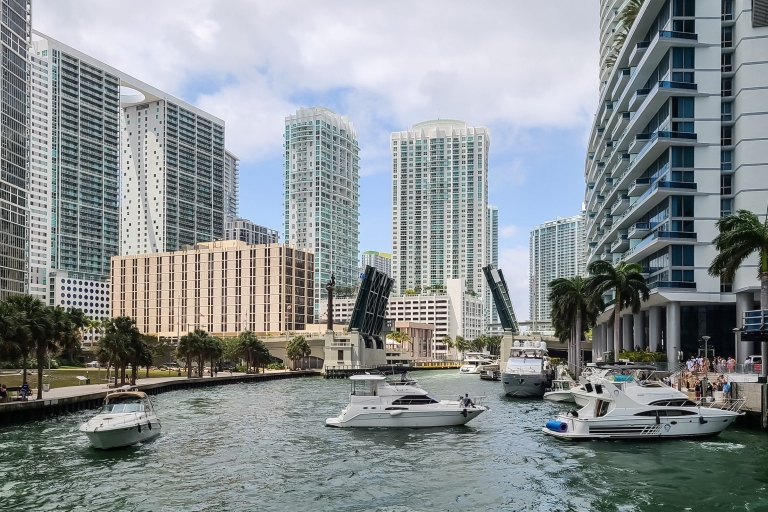 Miami: City Cruise Star Island Millionaire's Homes & 90 Mins City Cruise + Double Decker Bus Tour + Everglades Trip
