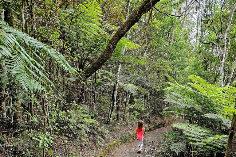 Baia delle Isole - Tour avventura nella natura