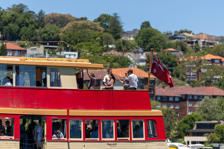 Sydney: Vivid Festival Cruise 90 - minutes