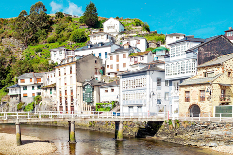 2026 Solar Eclipse Oviedo and Gijon: Luarca, Cudillero and Fonte Baxa Garden Solar Eclipse 2026: Sightseeing Tour in English from Oviedo