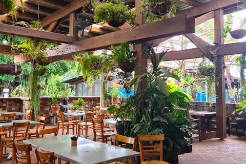 Airlie Beach: Family Coffee Plantation Tour