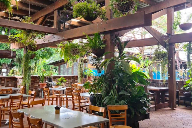 Airlie Beach: Family Coffee Plantation Tour