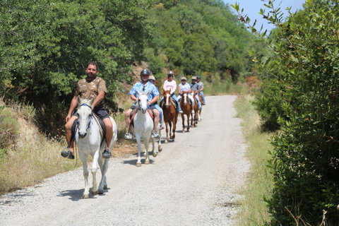 Bodrum: Horseback Riding Adventure with Hotel Pickup 2-Hour Forest & Beach Horse Riding with Transfers