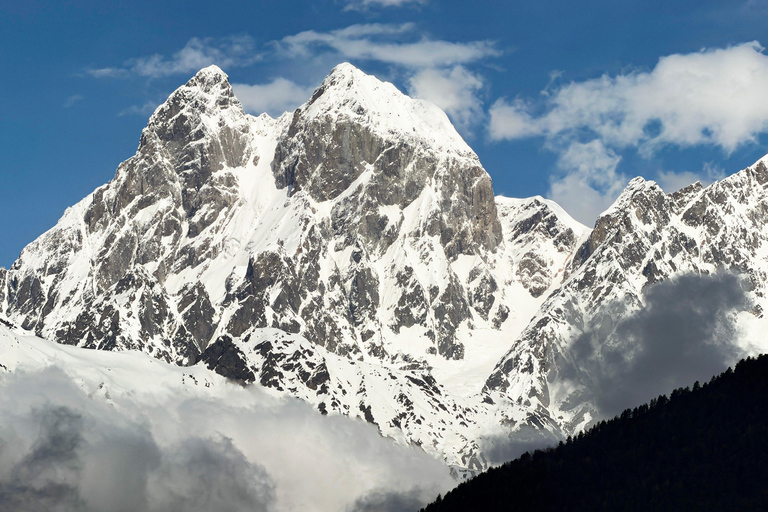Mestia Ushguli day trip