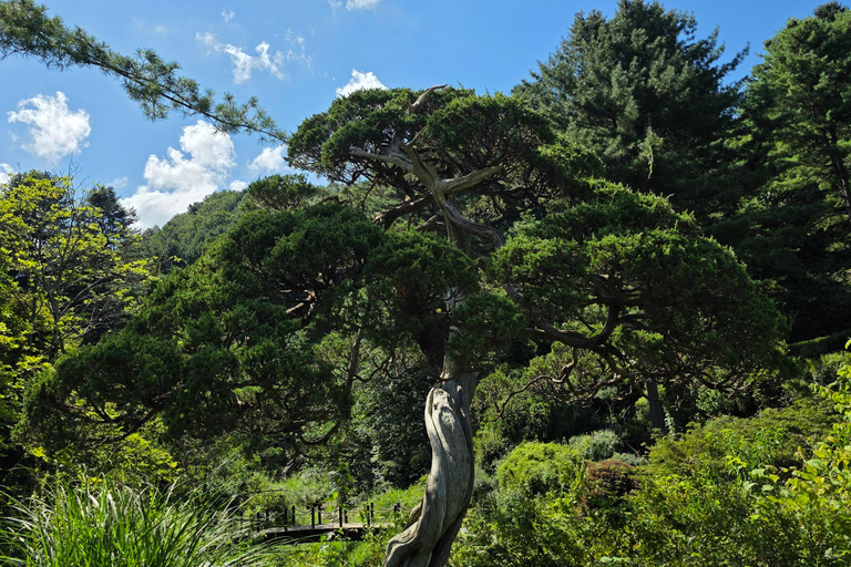 From Seoul: Garden of Morning Calm Day Tour by train