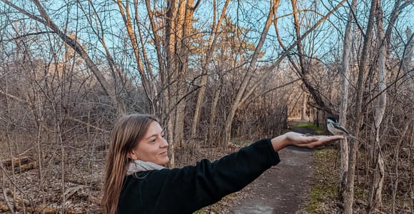 Ottawa: Geführter Naturspaziergang & Wildlife Tour mit Hotelabholung