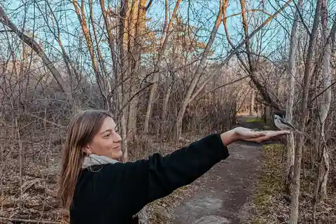 Ottawa: Guided Nature Walk & Wildlife Tour with Hotel Pickup