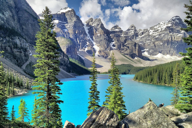 Calgary: Lake Louise, Moraine Lake, & Emerald Lake Tour