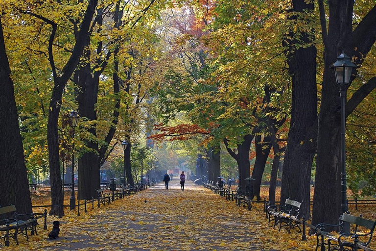 克拉科夫：老城区“皇家之路”徒步之旅皇家之路徒步之旅