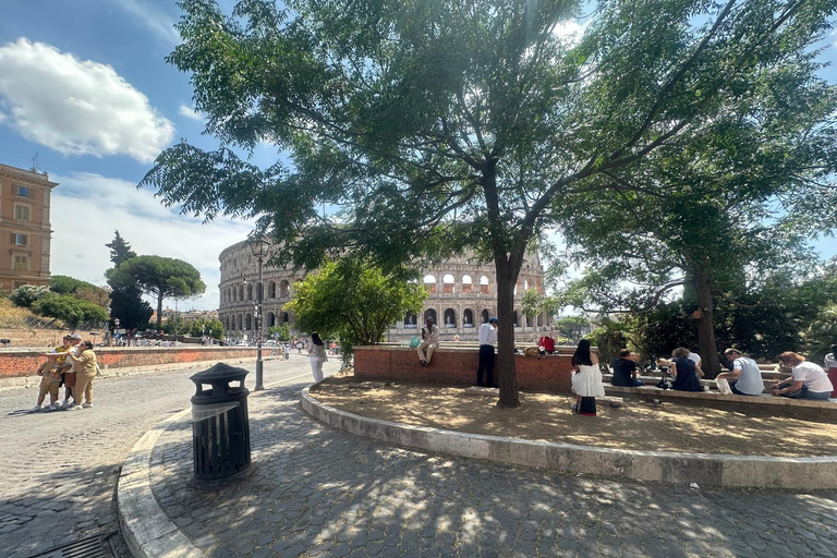 Small Group Guided Tour Colosseum Roman Forum, Palatine Hill Standard Tickets