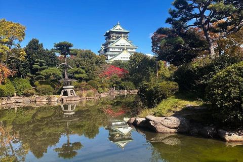 Tour Osaka in Spanish: Visit the must-see sites Tour Osaka: Visit the must-see places