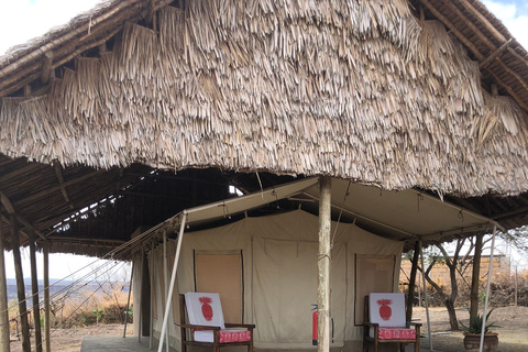 Nairobi: Excursión de un día al Lago Magadi con experiencia en campo de tiro