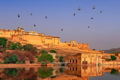 From Mumbai: Private Same-Day Delhi Heritage & Culture Tour From Mumbai: Private Same-Day Delhi Heritage & Culture Tour