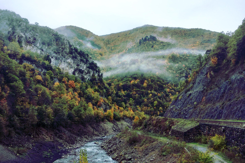 غابة إيراتي ورحلة أوتشاغافيارحلة استكشافية إلى غابة إيراتي وأوشاغافيا