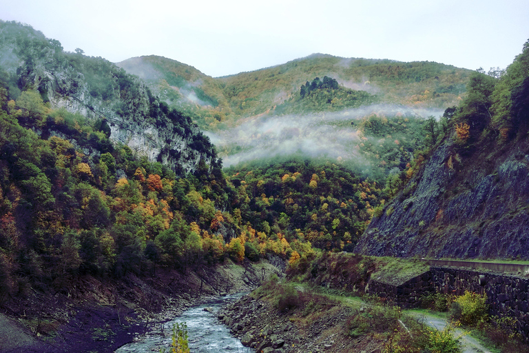 غابة إيراتي ورحلة أوتشاغافيارحلة استكشافية إلى غابة إيراتي وأوشاغافيا