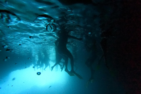 Dubrovnik/Cavtat: Blue Cave & Elaphiti with Food/Drinks From Dubrovnik Old Town